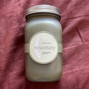Modern Sprout Rosemary Hydroponic Grow Kit - Olive Green Mason Jar